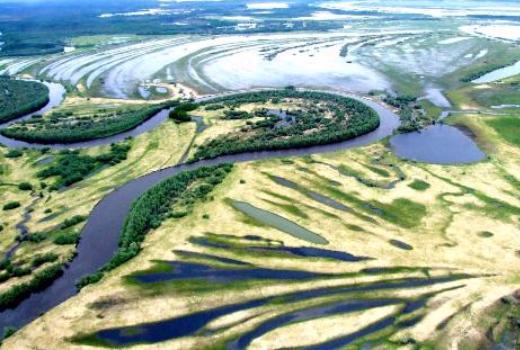 Ученые выяснили, кто «кормит» атмосферу парниковыми газами