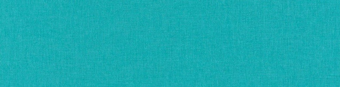 Губернатор поздравил участников мировых турниров по плаванию в ластах