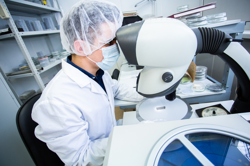 Радиофизики ТГУ разрабатывают детекторы для электронных микроскопов