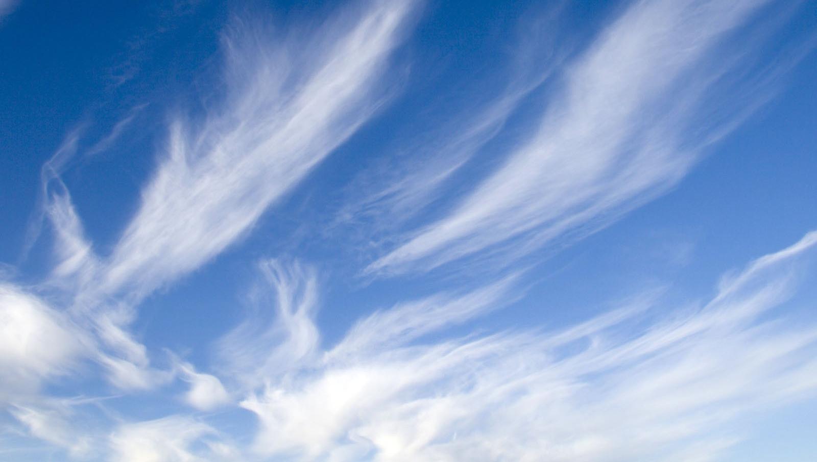 «Не летай в облаках, анализируй»: ТГУ провел конкурс по машинному обучению