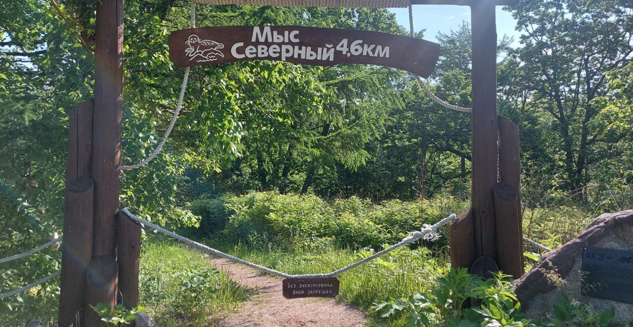 Как экологический туризм влияет на природу Сихотэ-Алинского заповедника