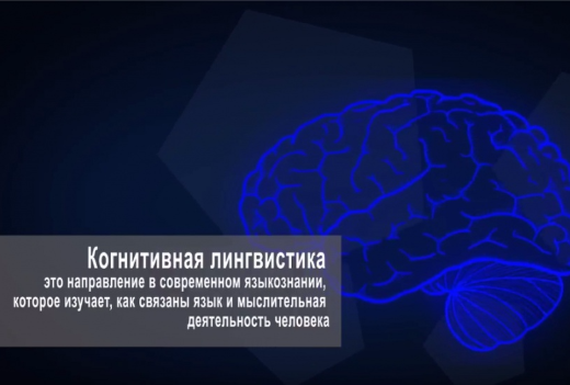 Программа мультимедиацентра ТГУ – победитель конкурса ПРО-Образование