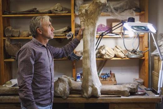 Палеонтологи предлагают создать музей мамонтов в Барабинской лесостепи