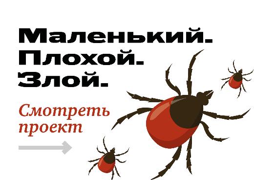 Большой проект ТГУ о клещах – чтобы обезопасить россиян