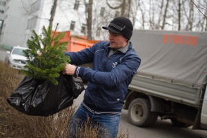 Дерево на память университету