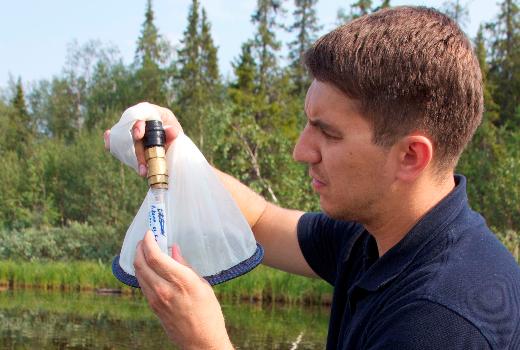 Со дна достанут: биологи запатентовали устройства для очистки водоемов