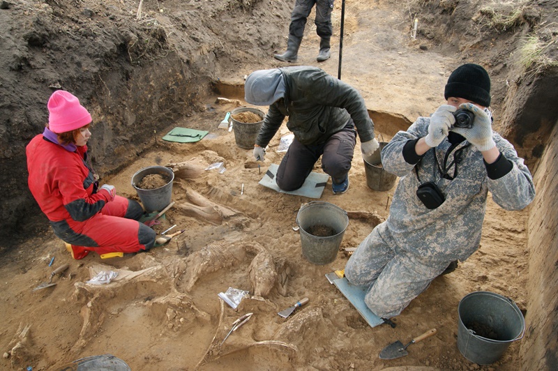 Ученые ТГУ сняли фильм о раскопках на крупнейшем «кладбище» мамонтов 