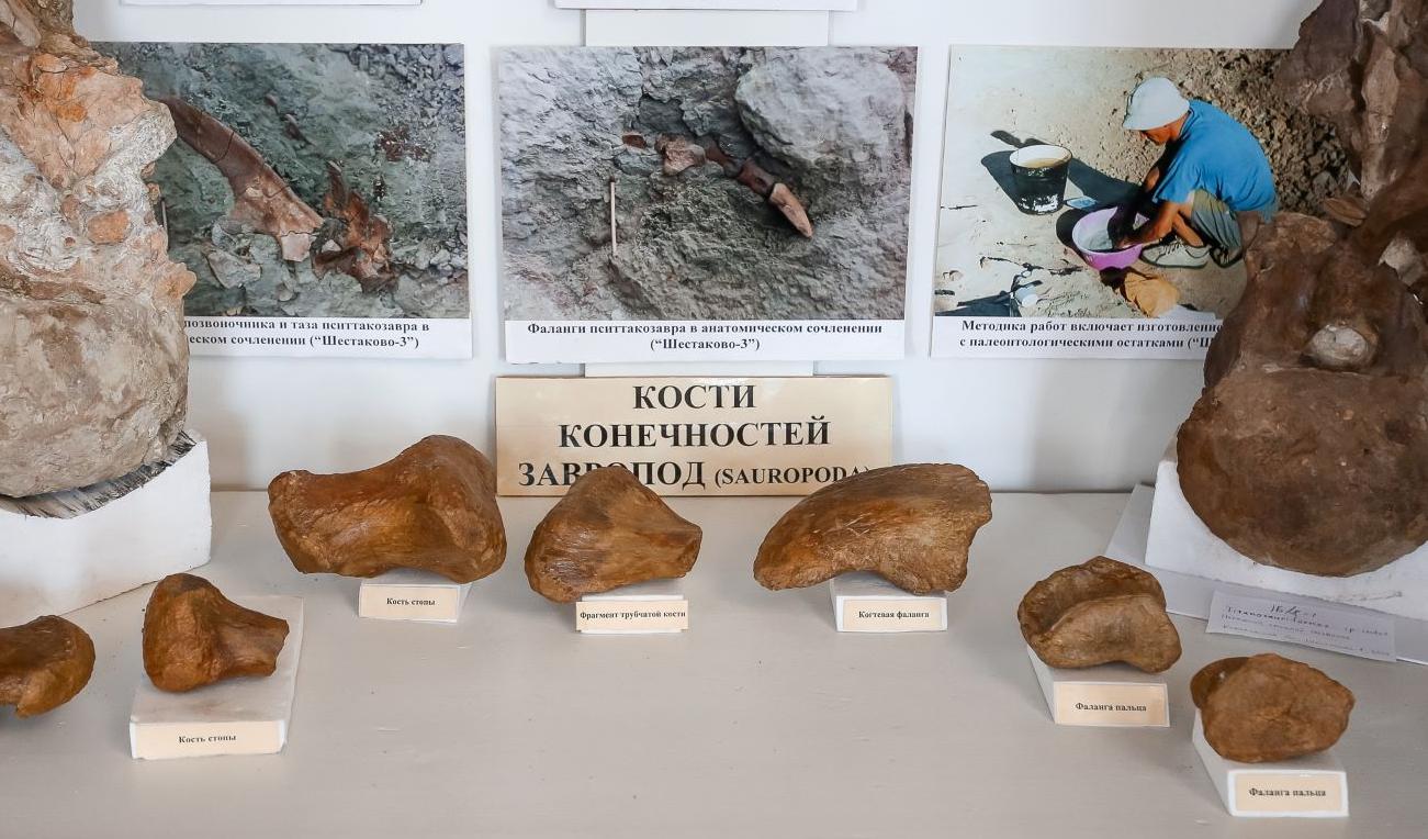 Находки ученых ГГФ вошли в виртуальную 3D-коллекцию динозавров России