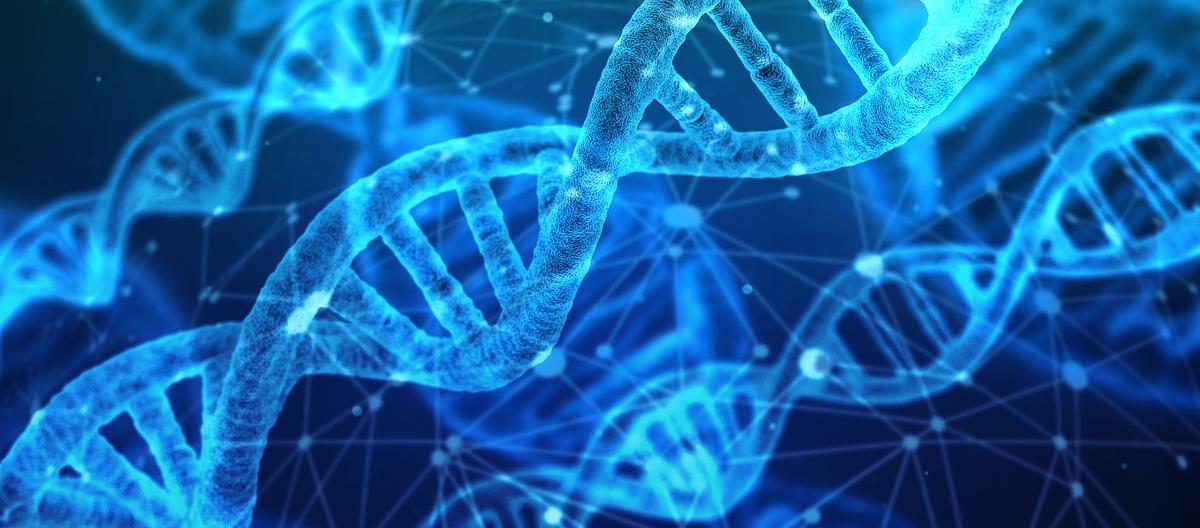 Приоритет 2030: Вузы, врачи и бизнес обсудили инновации и совместные проекты 