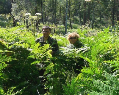  Ботаники Гербария ТГУ поработали в экспедиции в «джунглях» Западного Саяна 