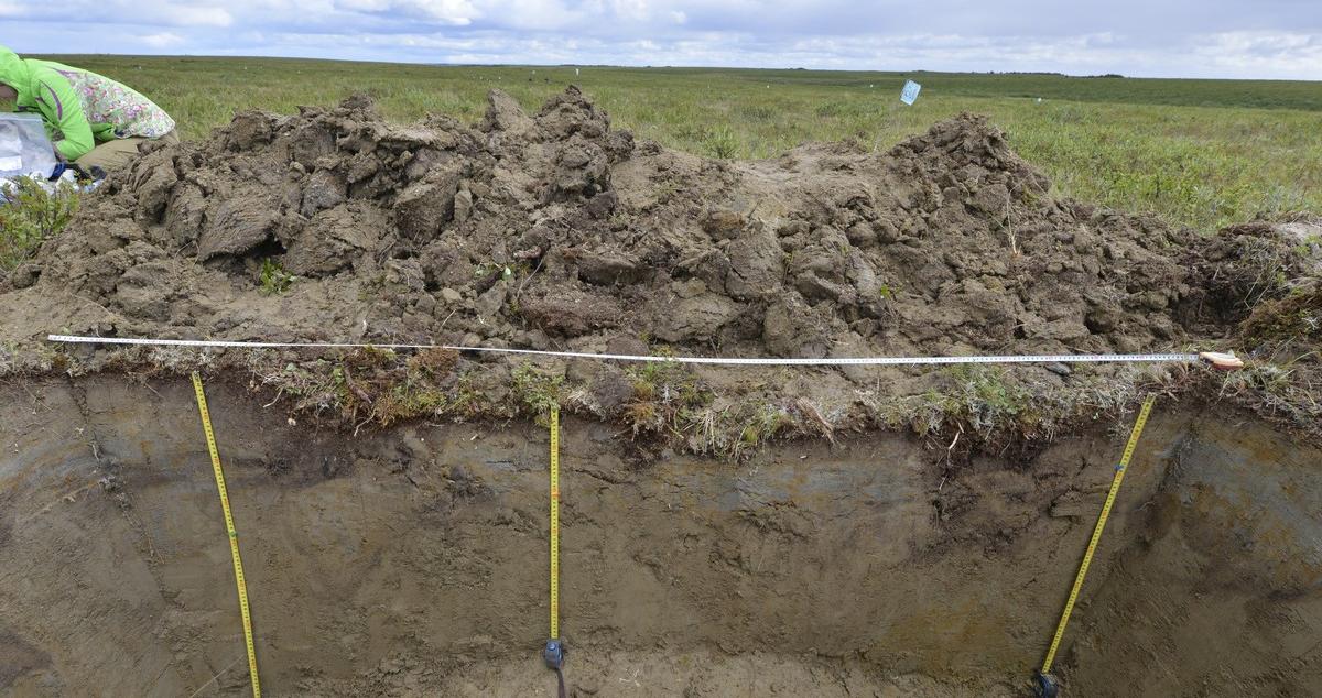 Эксперт ТГУ: таяние вечной мерзлоты может запустить «эффект домино»