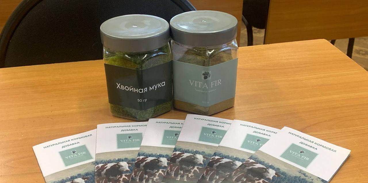 Студентка ВИША ТГУ разработала кормовую добавку из хвои для КРС