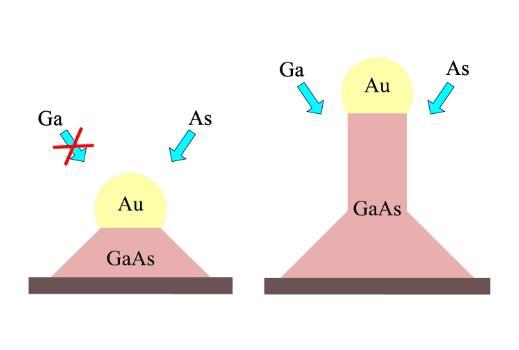 Физик ТГУ разработал модель формирования нитевидных нанокристаллов