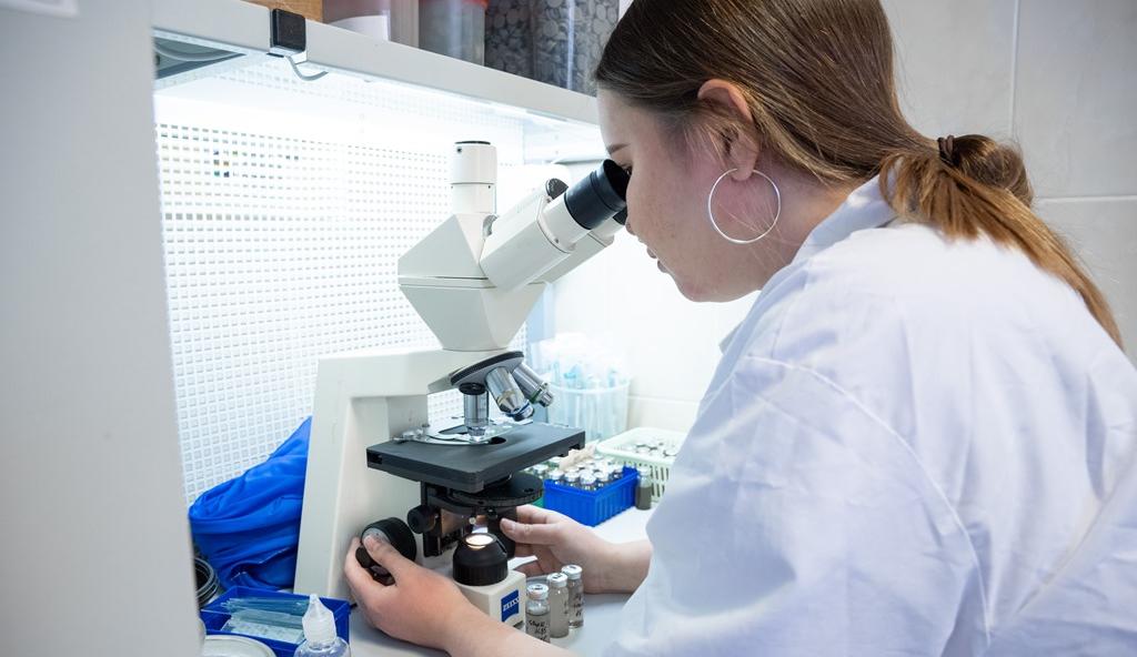 Ученые ТГУ ищут «противоядие» от бактерий, «взрывающих» головки сыра