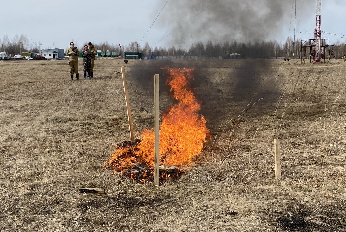 ТГУ запатентовал систему раннего обнаружения природных пожаров