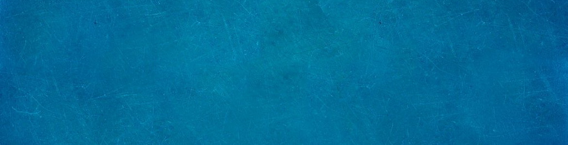 Cотрудница Центра анализа больших данных стала лучшей на школе ВЦИОМ