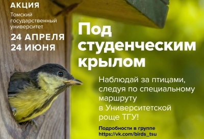 Сегодня, 24 апреля, иностранные студенты ТГУ подготовят скворечники для томских птиц