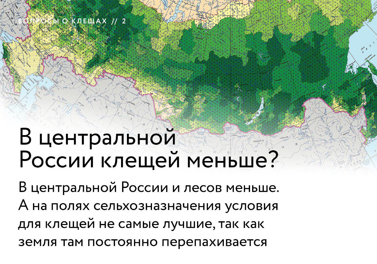 Ареал клещей. Ареал обитания клещей в России. Ареал обитания клещей на карте. Клещ Таежный и Луговой. Клещи карта обитания.