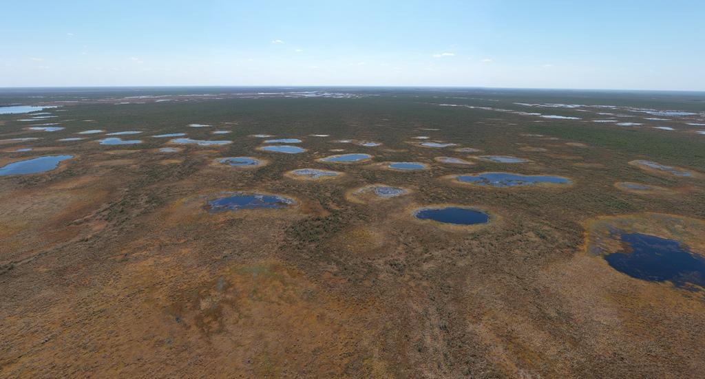 Ученые ТГУ выяснят, сколько парниковых газов продуцируют болотные озера 