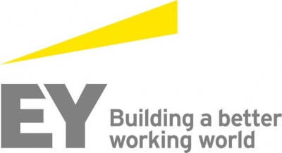 ТГУ и международная компания EY запускают совместный кампусный курс 