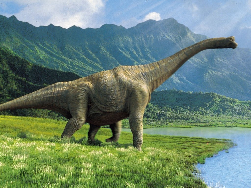 В главном корпусе ТГУ будет «жить» титанозавр