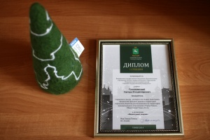 Новогодняя сказка ТГУ