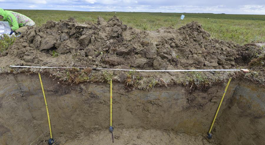 Эксперт ТГУ: таяние вечной мерзлоты может запустить «эффект домино»