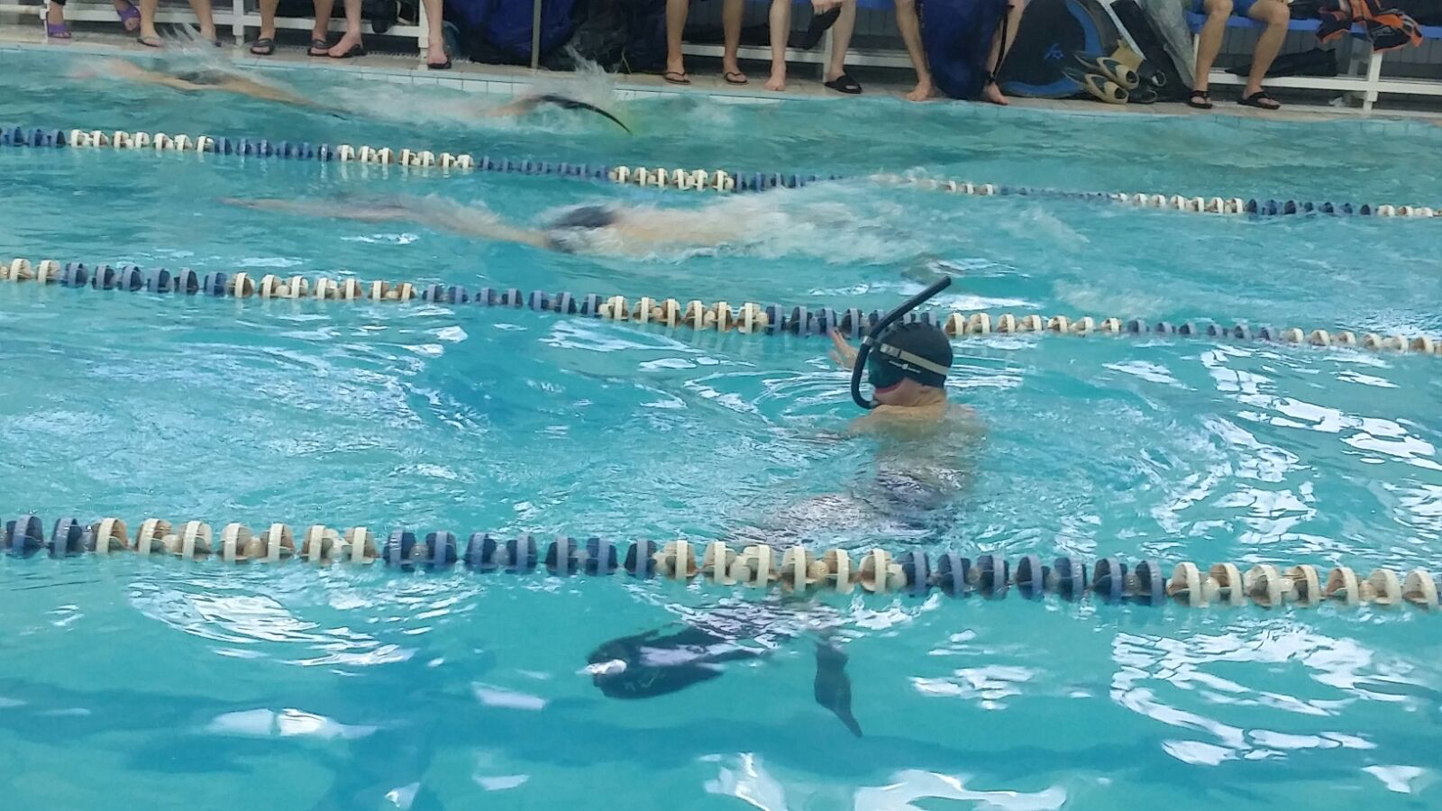 Пловцы СКАТ ТГУ завоевали медали на International Aquatics Festival