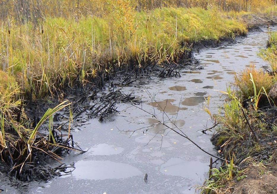 В ТГУ готовят первых в РФ специалистов для очистки водоемов от нефти