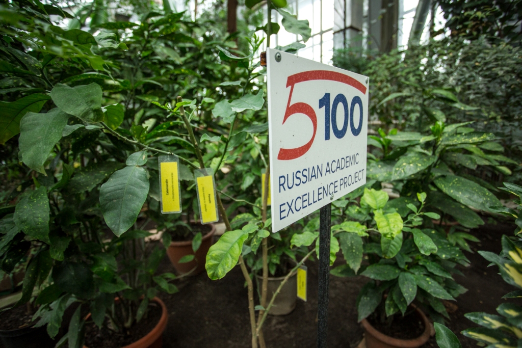 Дерево «5-100» в ботсаду ТГУ даст в этом году первые плоды