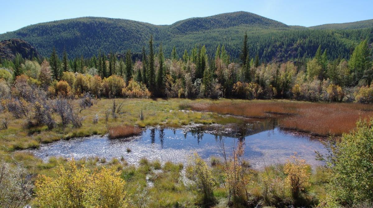 До 20% водно-болотных угодий мира может исчезнуть к 2050 году