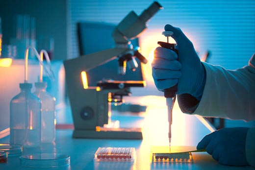 Ученые ищут способы сделать заменители костей и сосудов прочнее