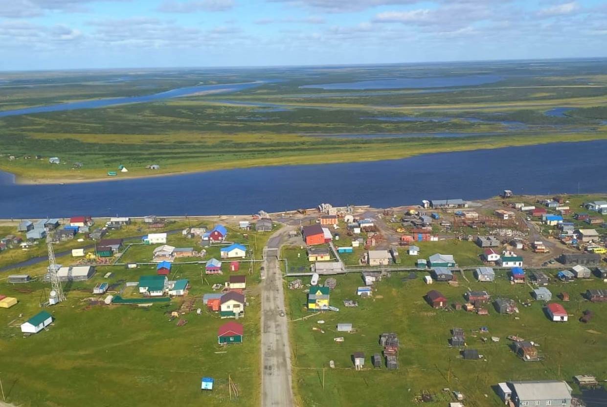 Трава вместо ягеля: учёные исследуют изменение Арктики и жизни в ней