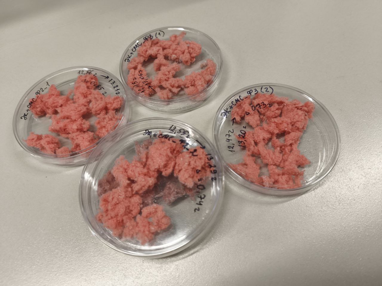 Ученые ТГУ изобрели фильтр, который ловит до 90% микропластика при стирке