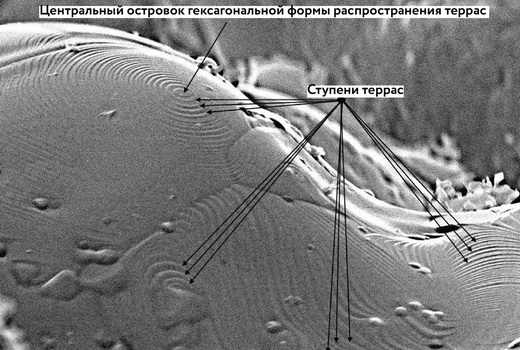 Ученые разработали пористый материал с улучшенной биосовместимостью