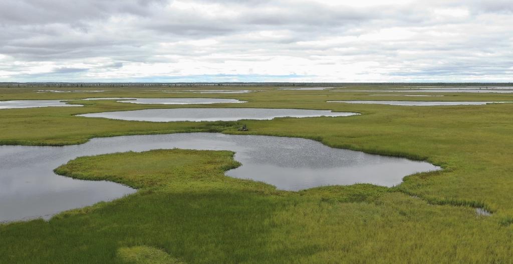 Почвоведы ТГУ обнаружили «горячие углеродные точки» в сибирской Арктике