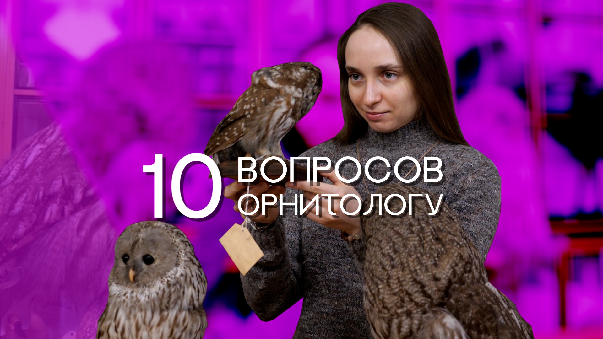 Проект «10 вопросов»: чем занимается современный орнитолог