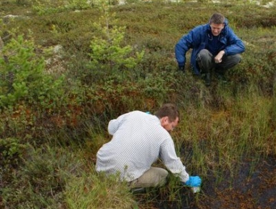  Ученые центра «BioClimLand» ТГУ инициировали и выиграли международный проект, посвященн...