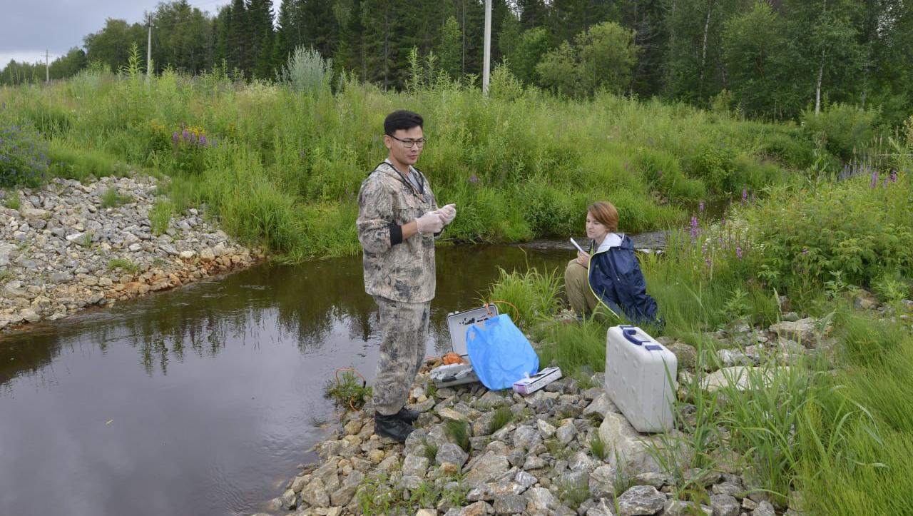 Потепление климата усилит «вывод» почвенного углерода в атмосферу