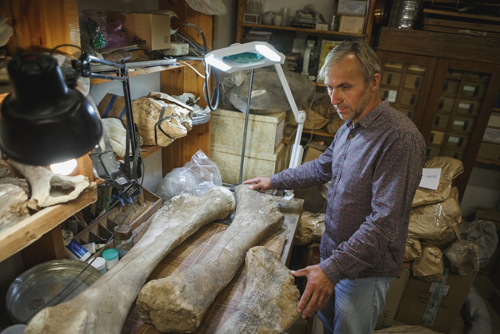 Палеонтологи ТГУ реконструируют прошлое, чтобы сохранить будущее