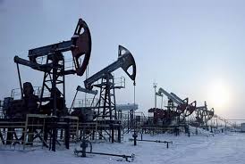 БИ ТГУ представит нефтяникам технологии для очистки водоемов в Арктике