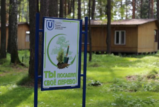 На оздоровительно-учебной базе «Гармония» появилось 50 новых кедров
