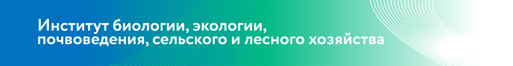 БИ монтажная область баннер.png