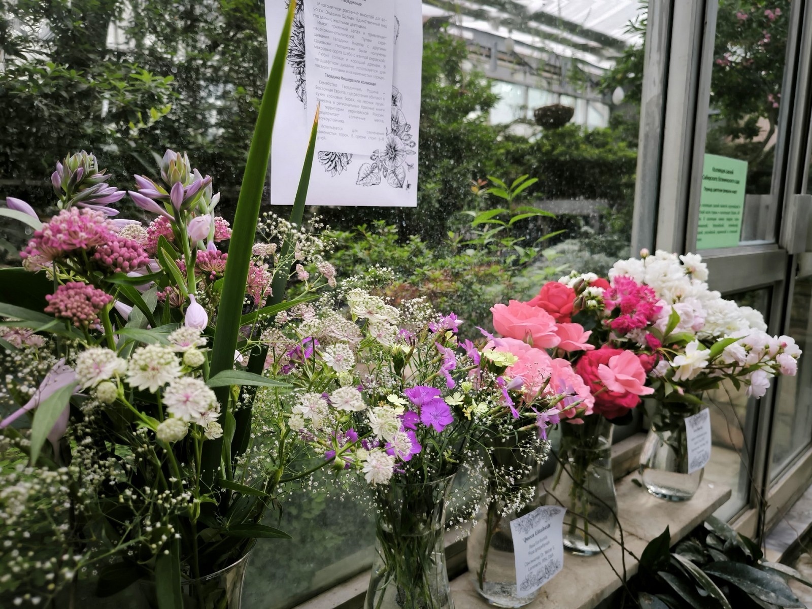 ботсад Краски лета 4_1600.jpg