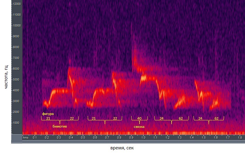 Спектрограмма отдельной песни мухоловки-пеструшки, содержащая фигуры 21-22-21-22-40-24-62-24-62.jpg