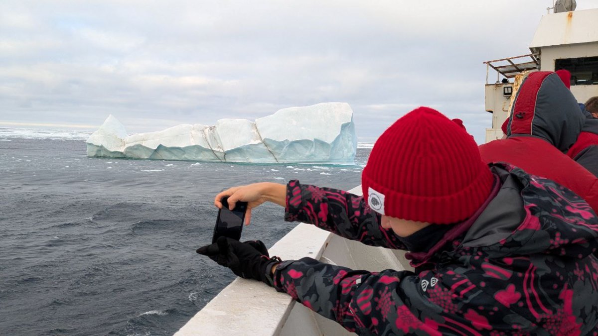 Екатерина Осипова Екатерина Осипова