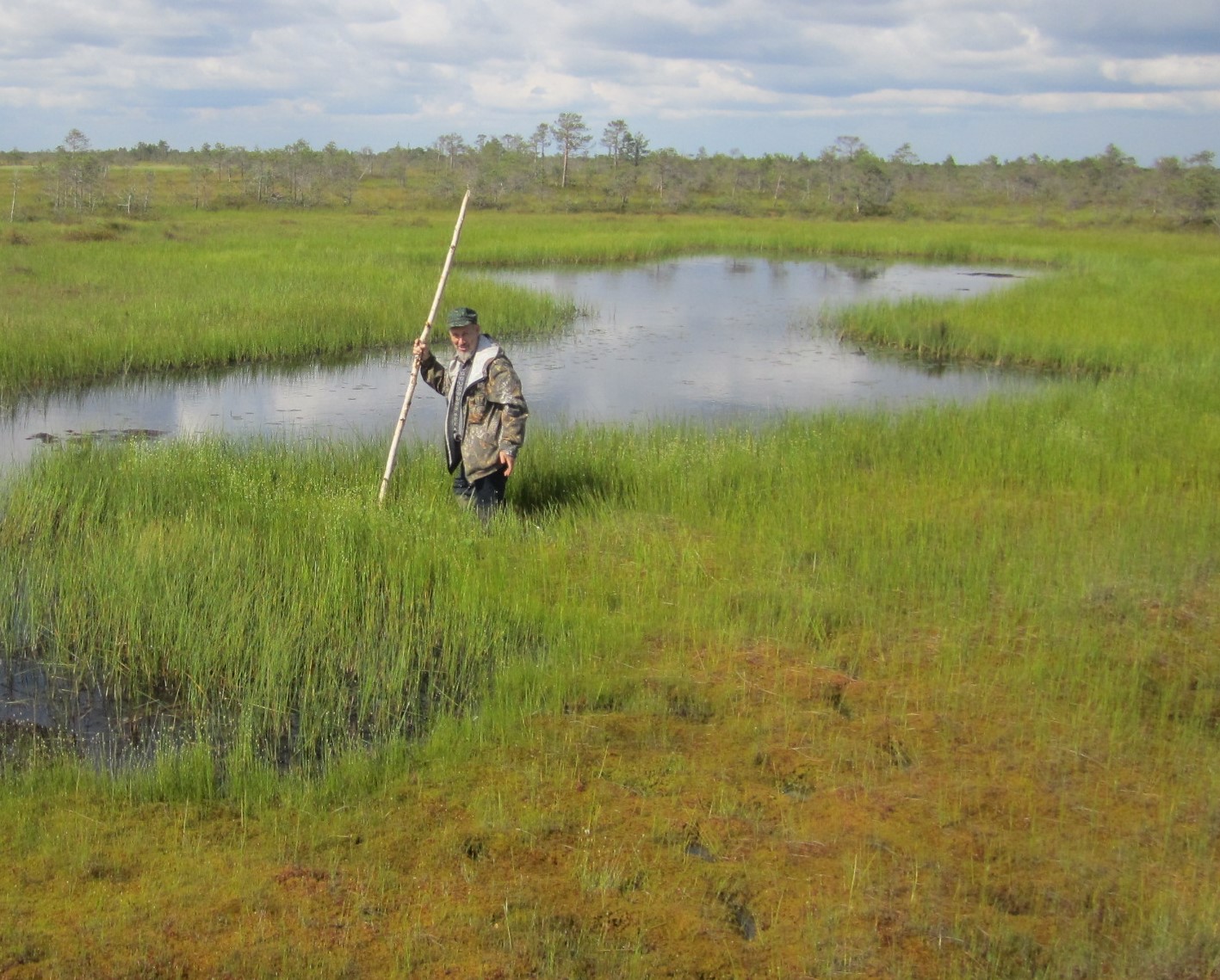 Экспедиция на Васюганское болото Васюганское болото Александр Березин.jpg
