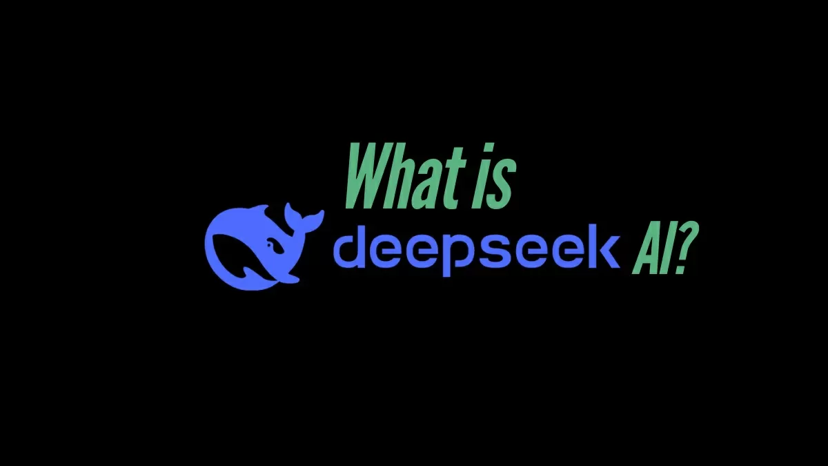5.jpeg