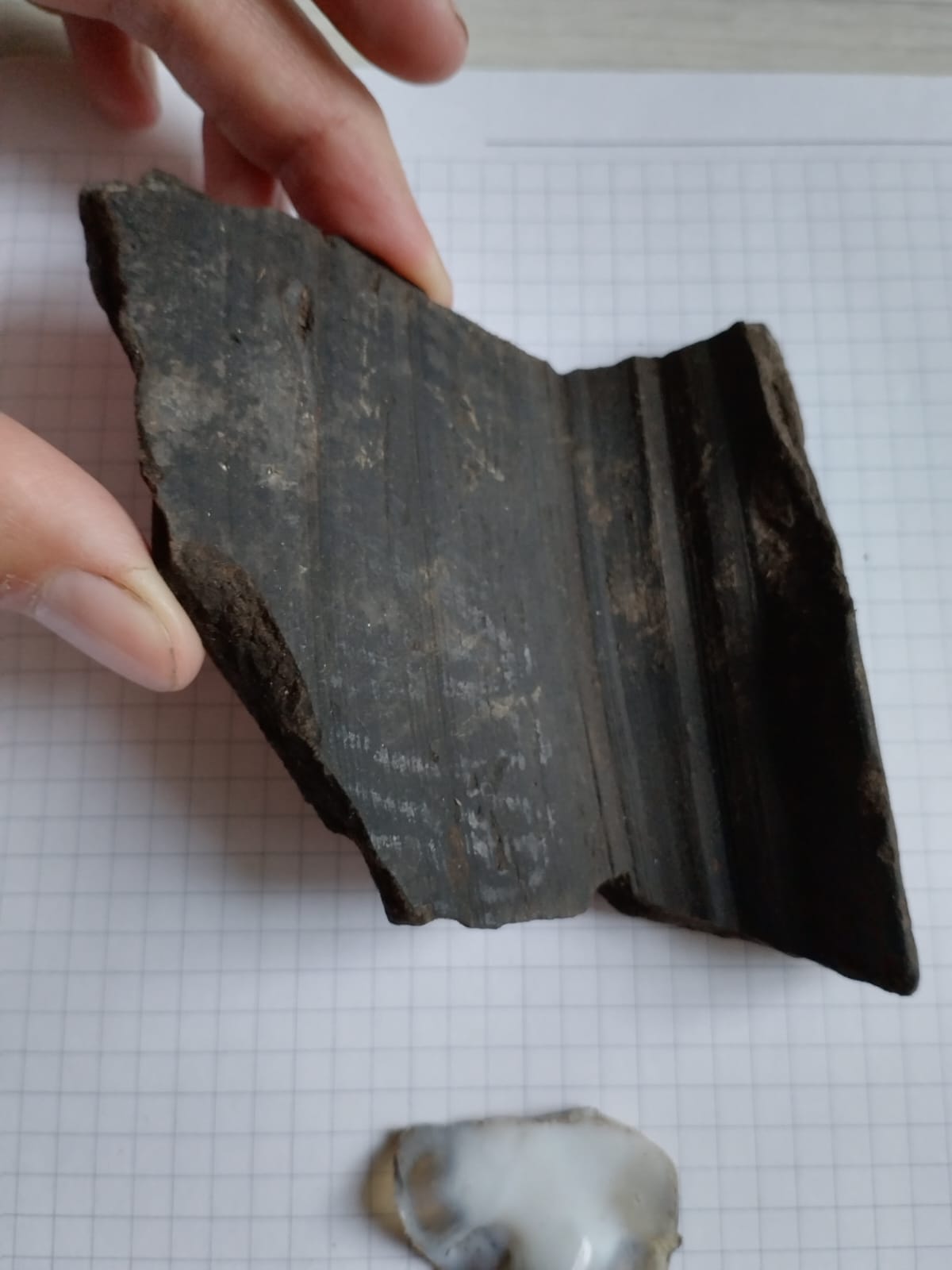 Фрагмент чернолощеной керамики, найденный на полевой практике студентов ФИПН ТГУ