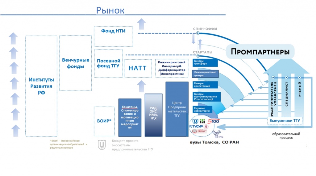 Оформление презентаций тгу